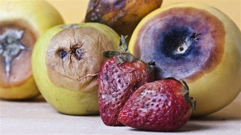 what happens if you eat rotten fruit